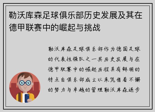 勒沃库森足球俱乐部历史发展及其在德甲联赛中的崛起与挑战